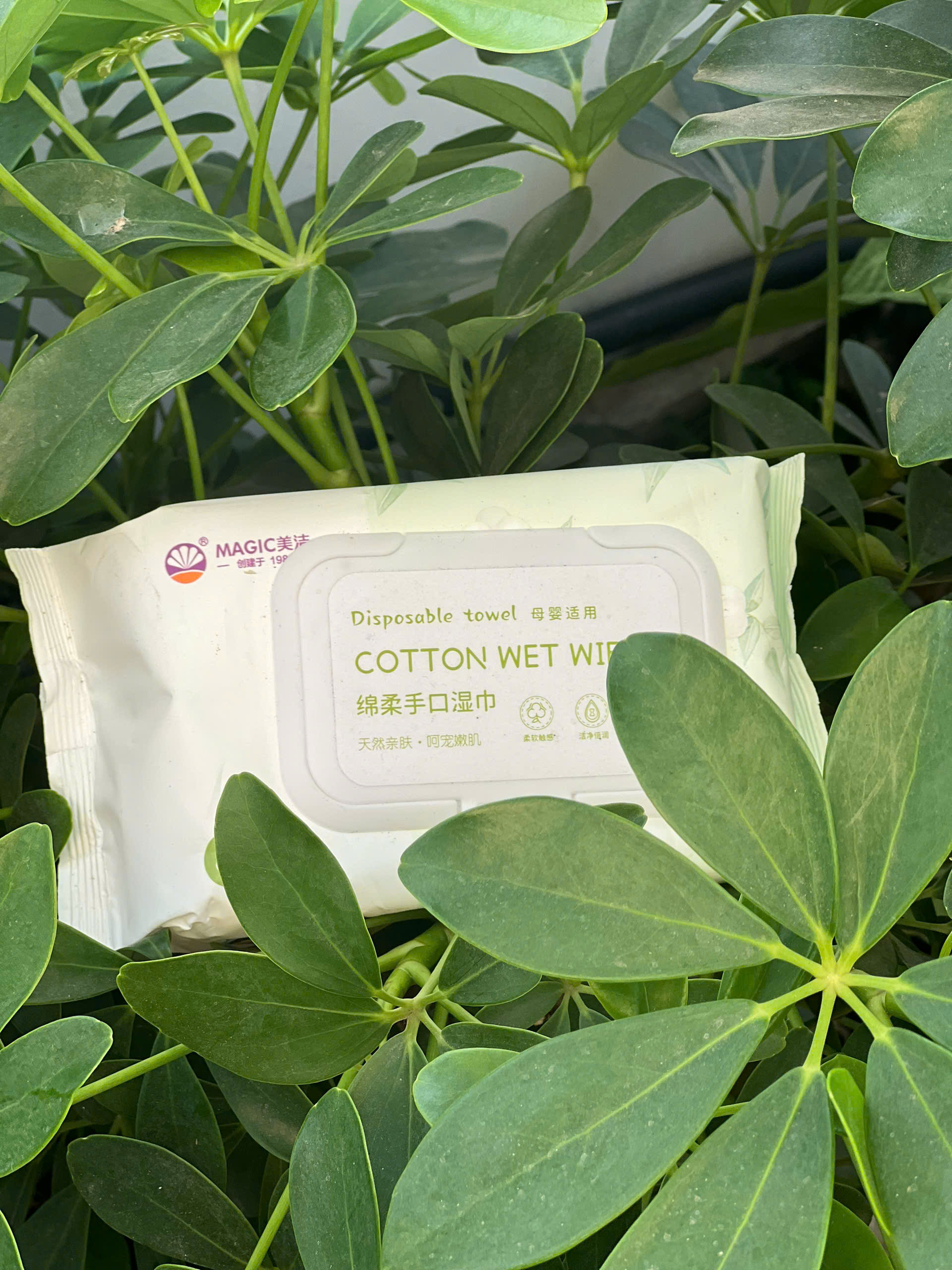 z6128097628734_6272011bf96ca581c55489bf0542587d