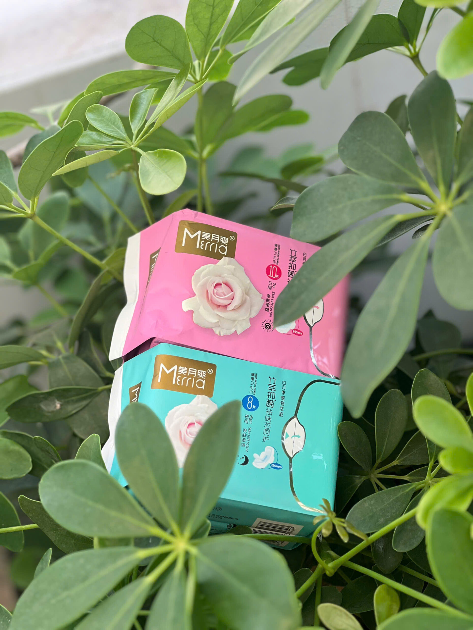 z6138090512830_15c8d6079f3d0845510ad1003b1fb515