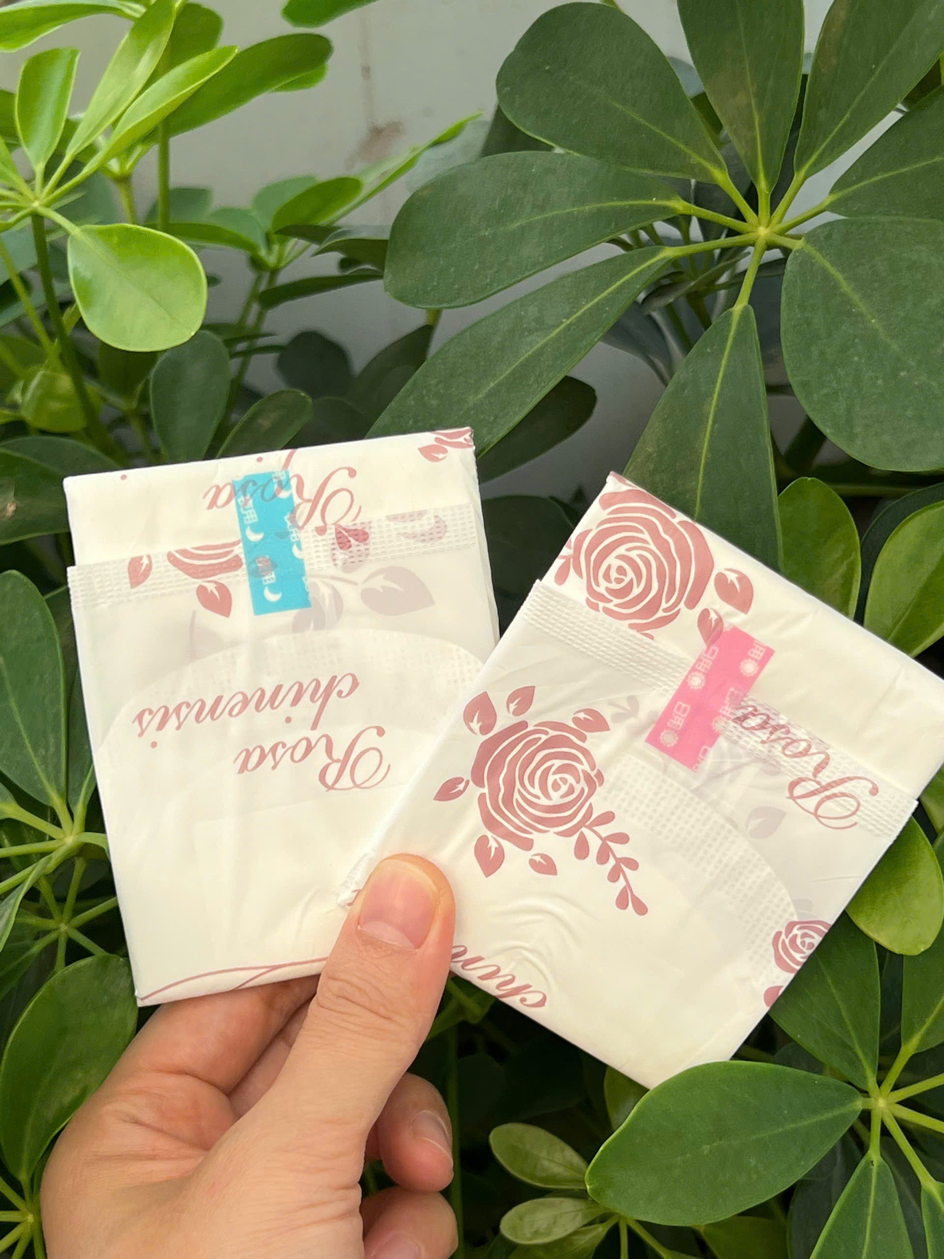 z6138104931555_1b6beab41bfdd4b2d910c3cbff084cac